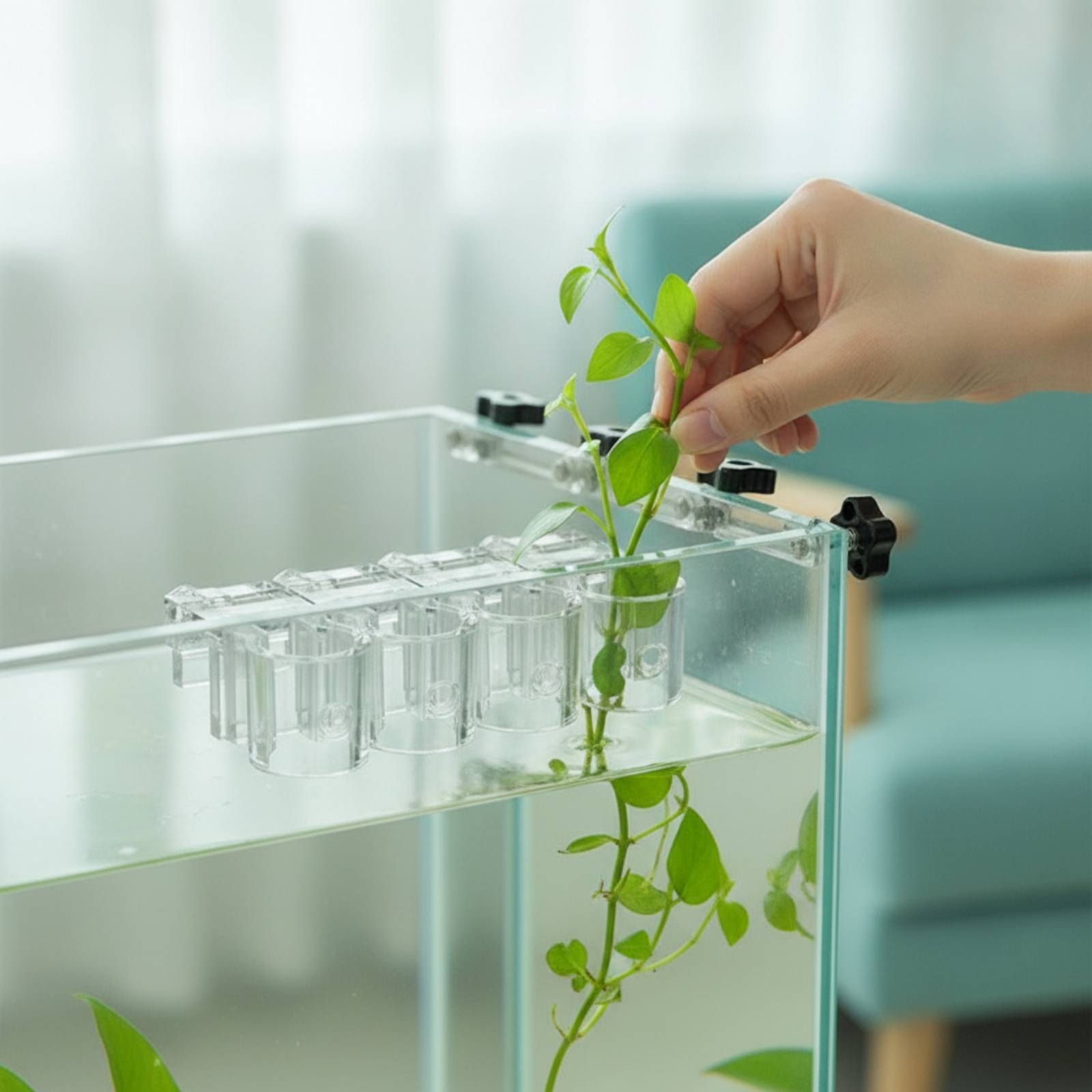 6 Pieces Aquarium Planter Clea - Aquarium Plant Original ulasan dan harga