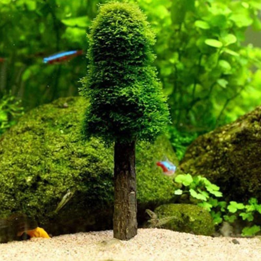 Simulation Christmas Tree Aqua - Aquarium Planted Background ulasan dan harga