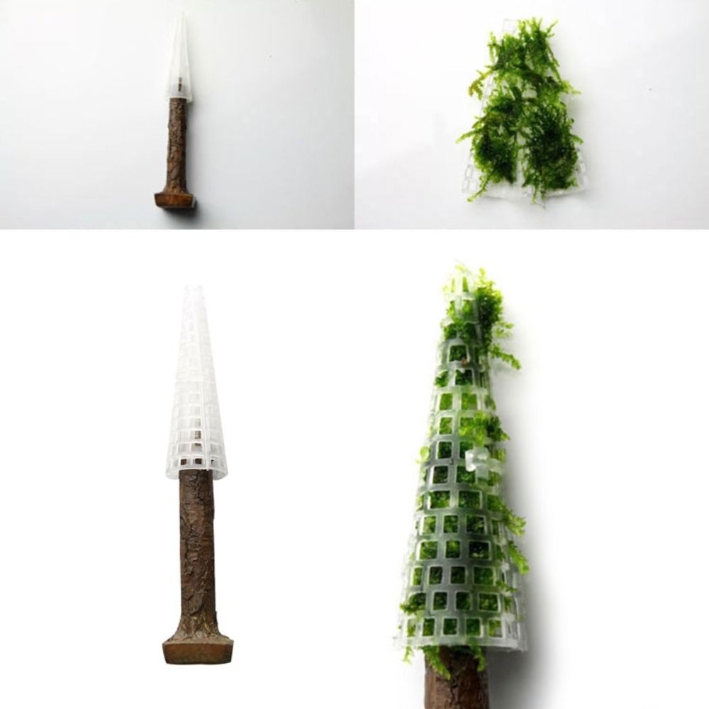 Simulation Christmas Tree Aqua - Aquarium Planted Background ulasan dan harga