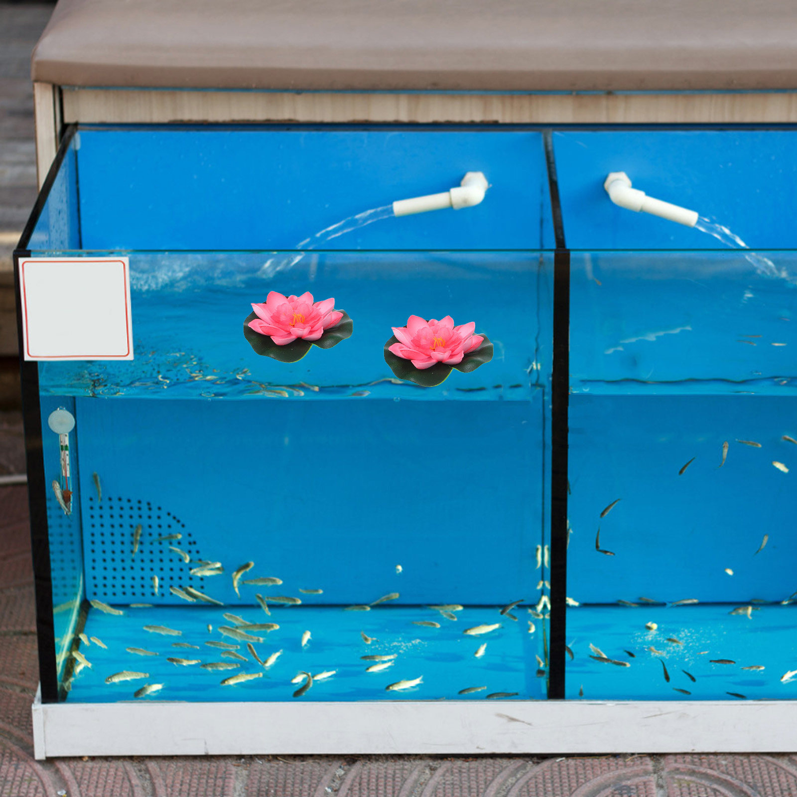 12Pcs Artificial Floating Wate - Aquarium Plant Original ulasan dan harga