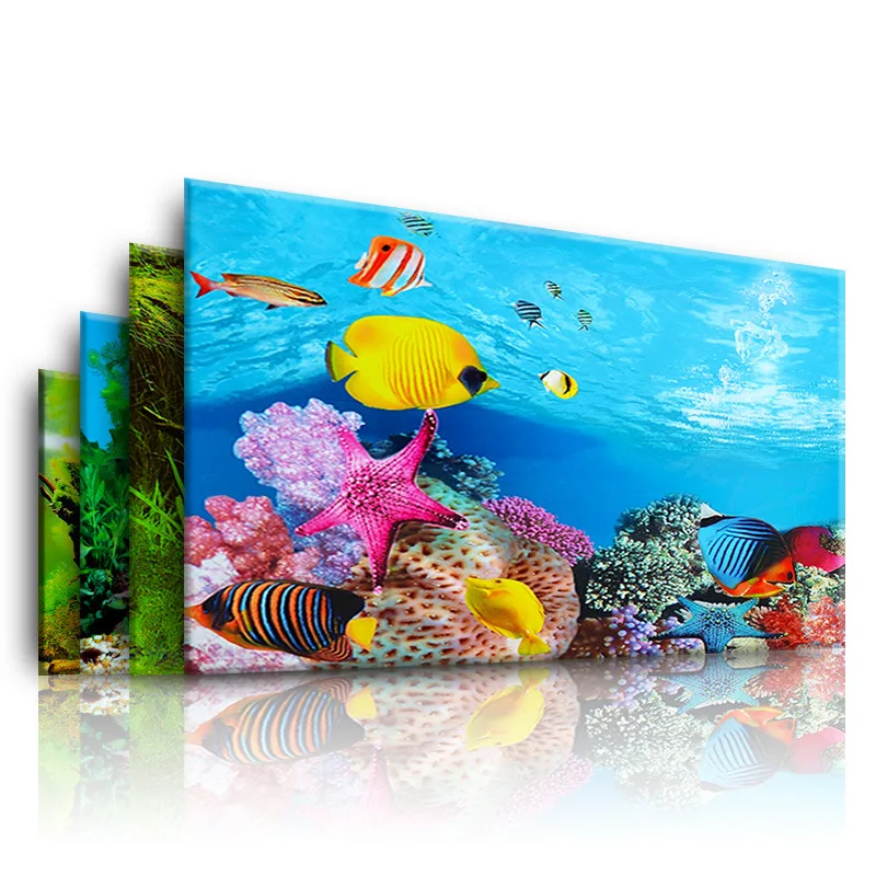 Background for Aquarium 3d  St - Aquarium Planted Background ulasan dan harga