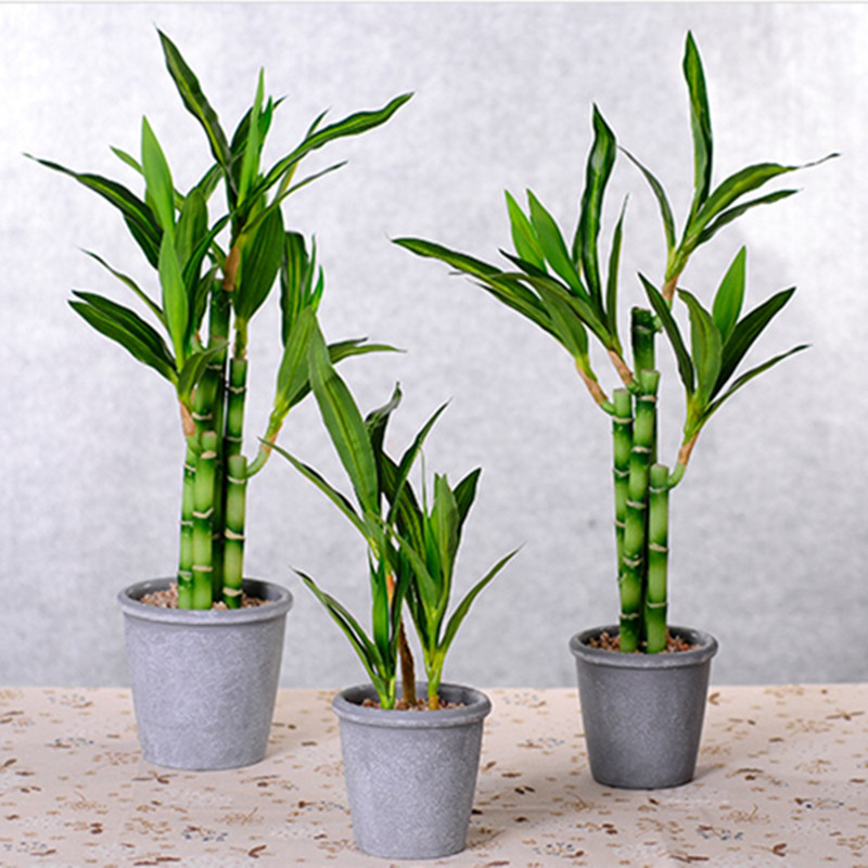 New 40cm rFtificial Lucky Bamb - Aquarium Plant Nursery ulasan dan harga