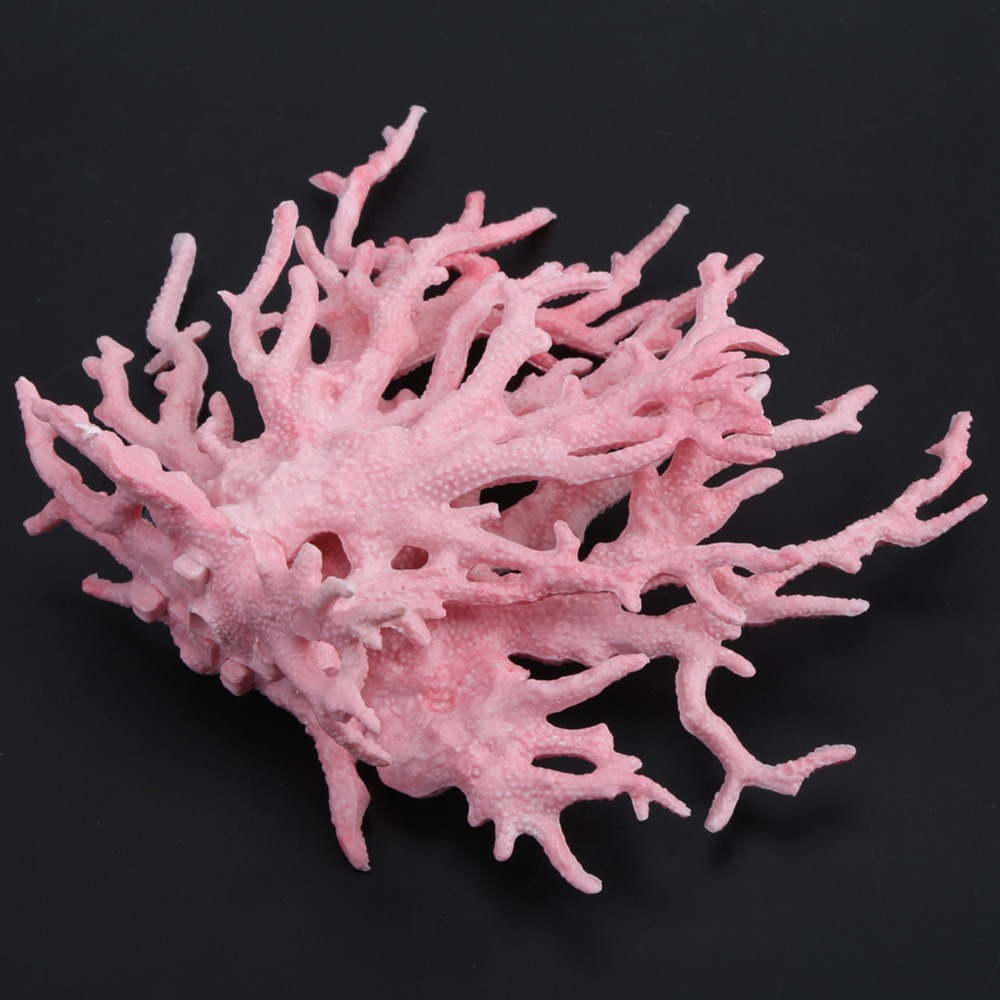 Decoration Accessories Colorfu - Aquarium Planted Background ulasan dan harga