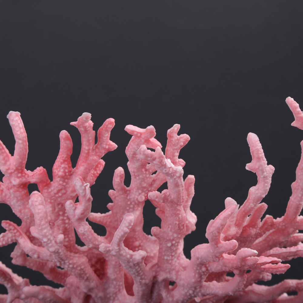 Decoration Accessories Colorfu - Aquarium Planted Background ulasan dan harga