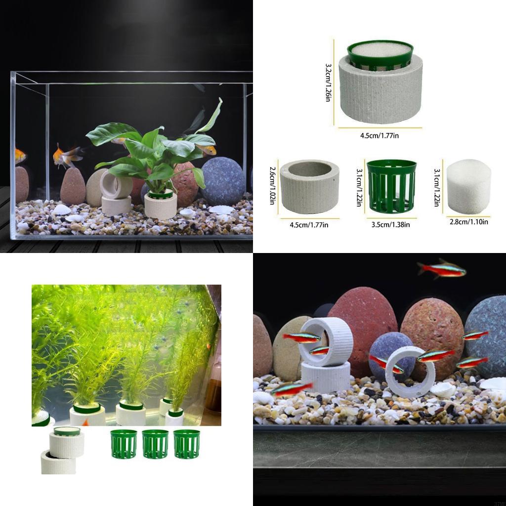 37ME Ceramic Aquarium Plant Ri - Aquarium Planted Background ulasan dan harga