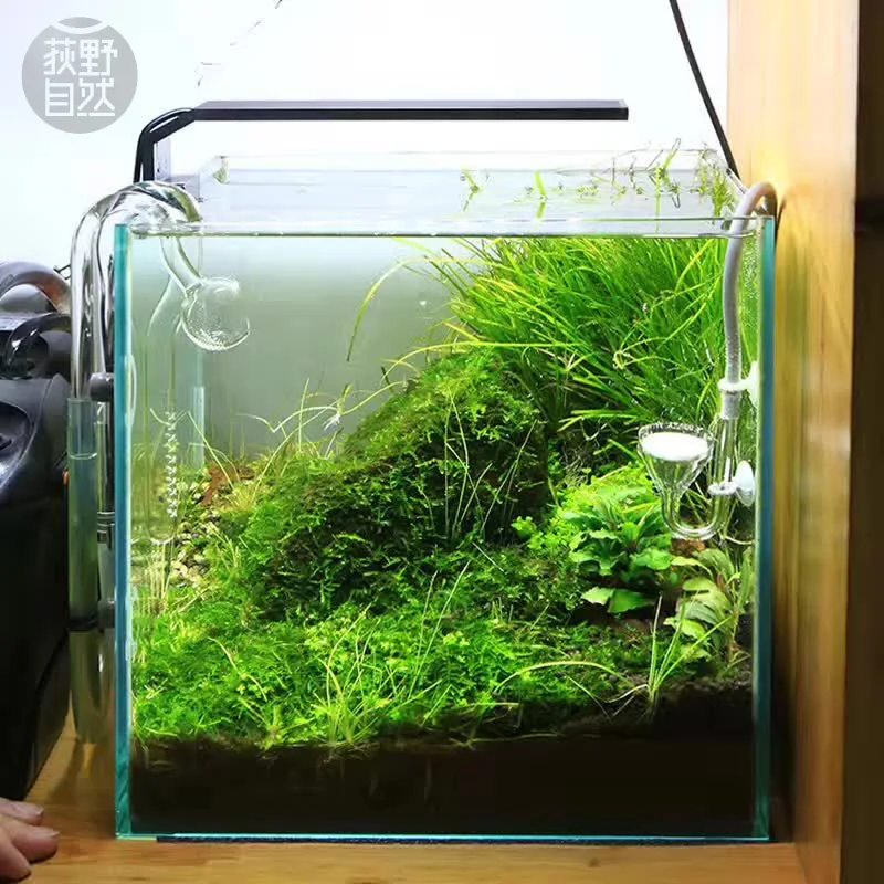 Chihiros C Series ADA Style Pl - Planted Aquarium Pendant Light ulasan dan harga