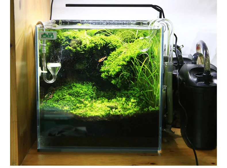 Chihiros C Series ADA Style Pl - Planted Aquarium Pendant Light ulasan dan harga