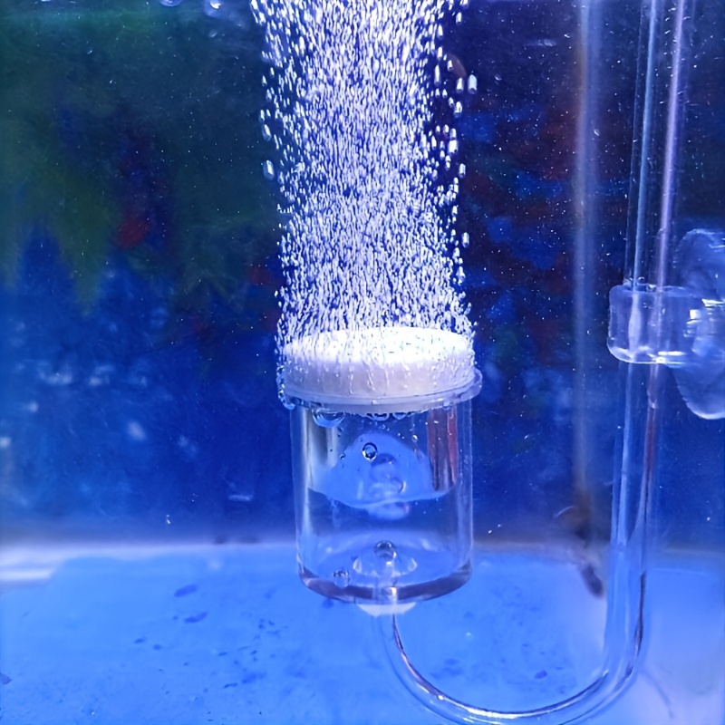 Aquarium Glass CO2 Atomizer Di - Planted Aquarium Equipment ulasan dan harga
