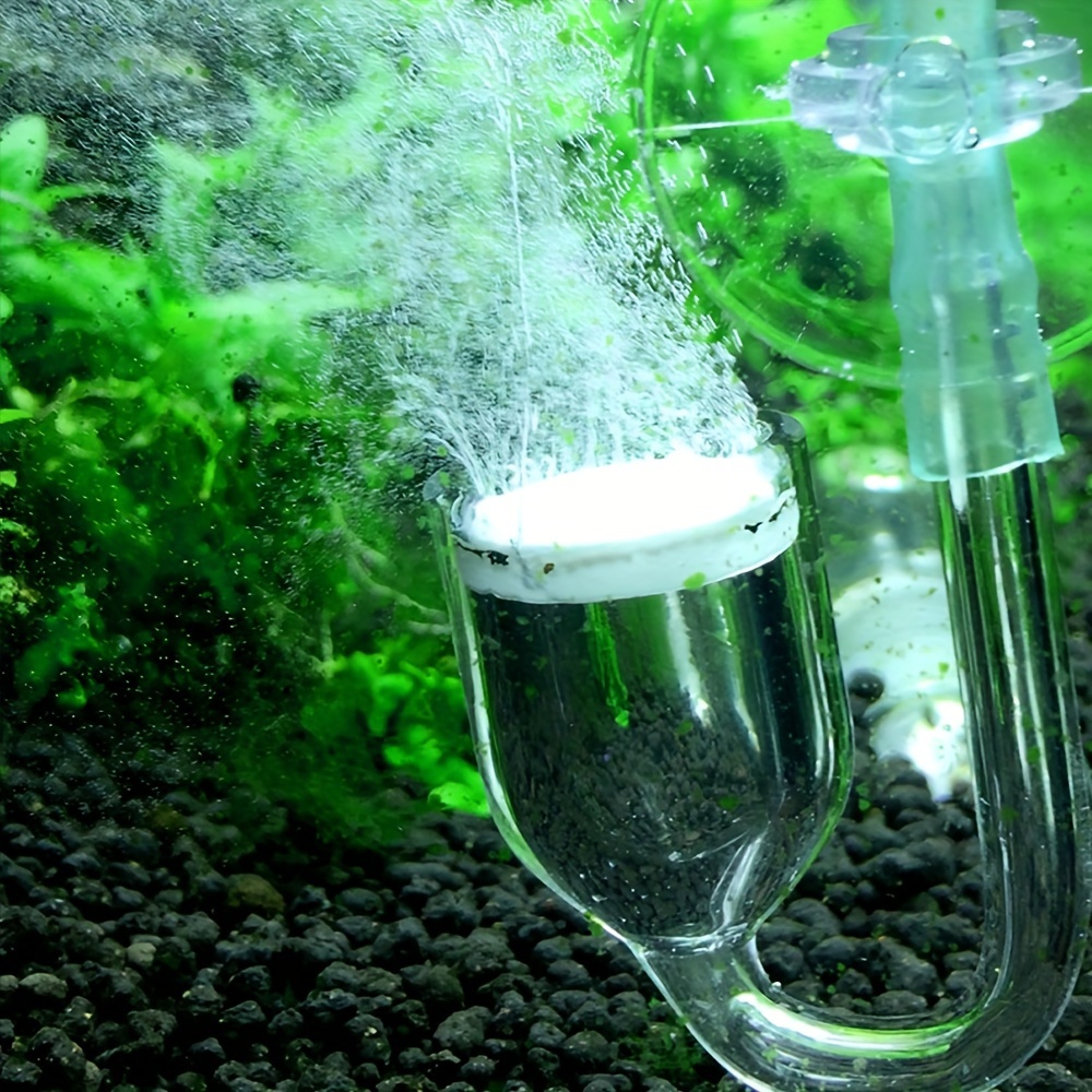 Aquarium Glass CO2 Atomizer Di - Planted Aquarium Equipment ulasan dan harga