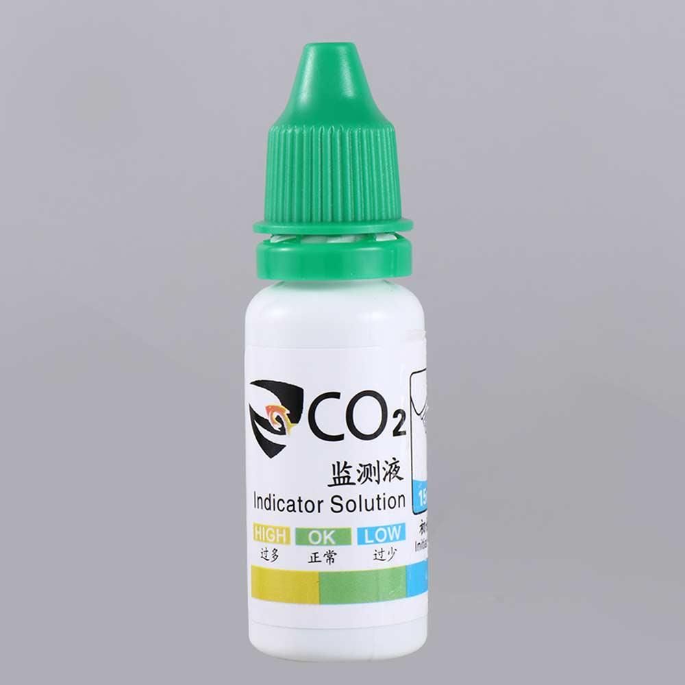 Kit Grass Fish Tank For Aquati - Aquarium Plant Nursery ulasan dan harga