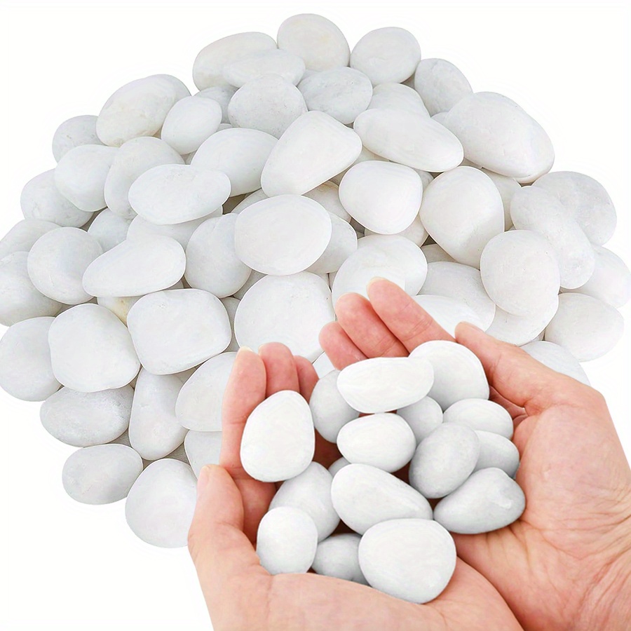 200/400g White High Polished N - Aquarium Plant Nursery ulasan dan harga