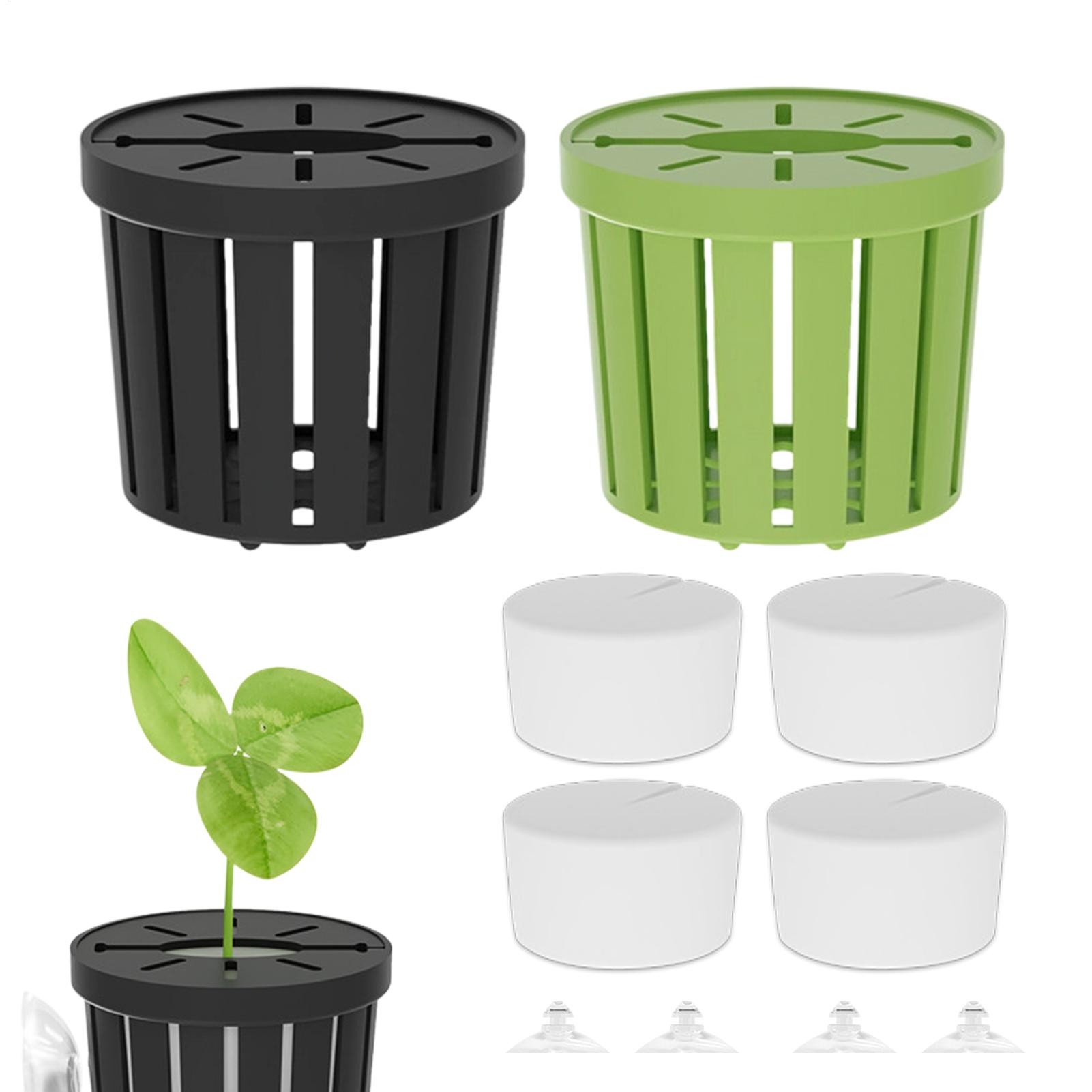 4Pcs Aquatic Plants Fixed Set  - Aquarium Planted Background ulasan dan harga