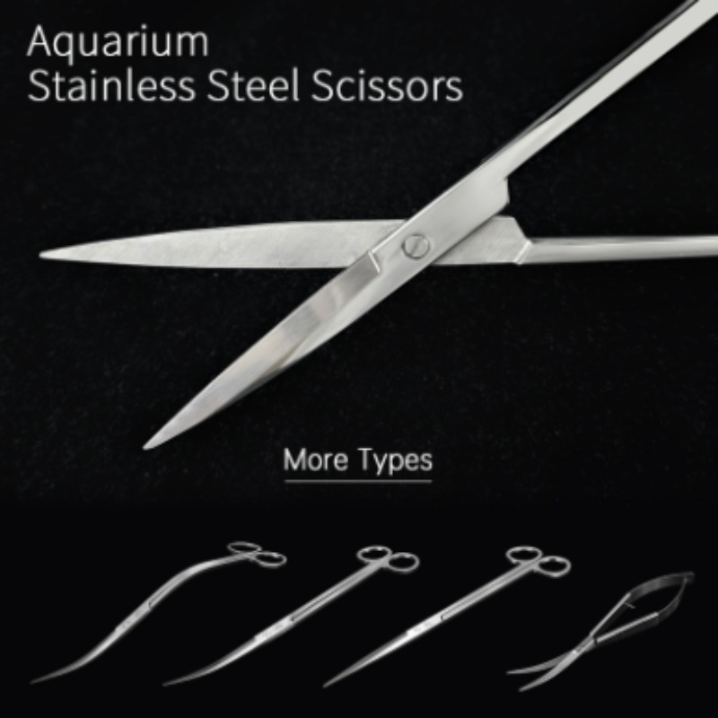 Week Aqua Stainless Steel Aqua - Planted Aquarium Equipment ulasan dan harga