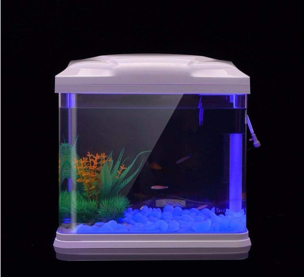 Fish Tank Rocks Glow Blue Pebb - Planted Aquarium Equipment ulasan dan harga