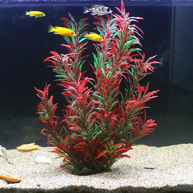 50CM Artificial Fish Tank Rare - Planted Aquarium Equipment ulasan dan harga
