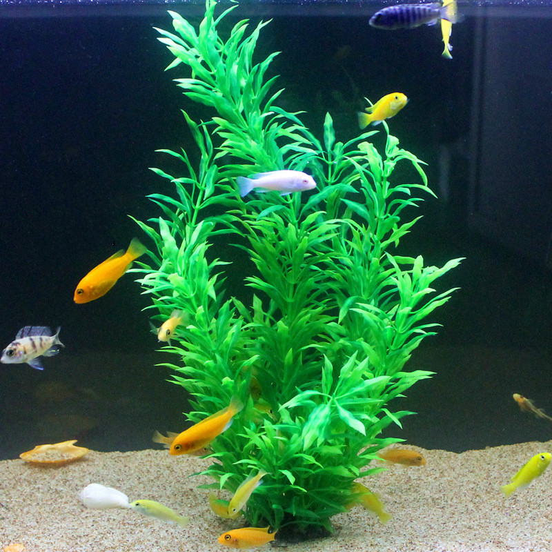 50CM Artificial Fish Tank Rare - Planted Aquarium Equipment ulasan dan harga