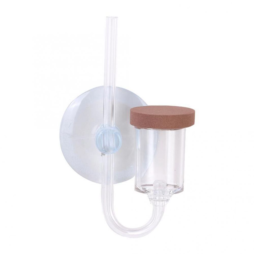 Acrylic Mini Fish Tank Live Pl - Planted Aquarium Equipment ulasan dan harga