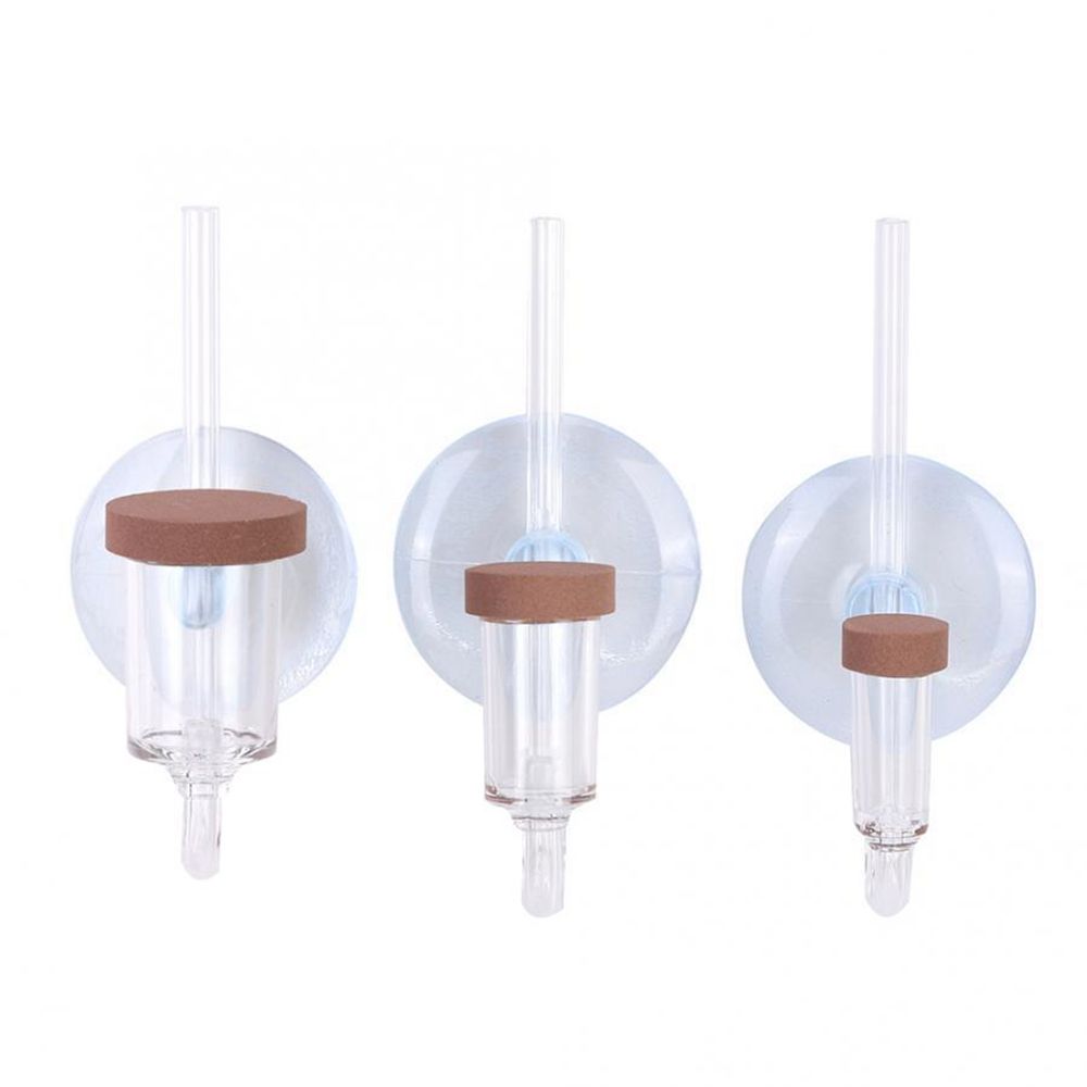 Acrylic Mini Fish Tank Live Pl - Planted Aquarium Equipment ulasan dan harga