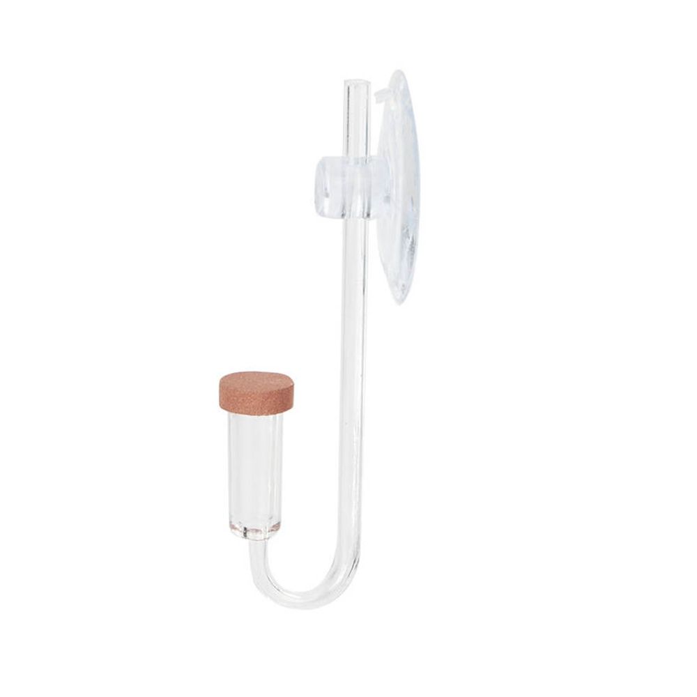 Acrylic Mini Fish Tank Live Pl - Planted Aquarium Equipment ulasan dan harga