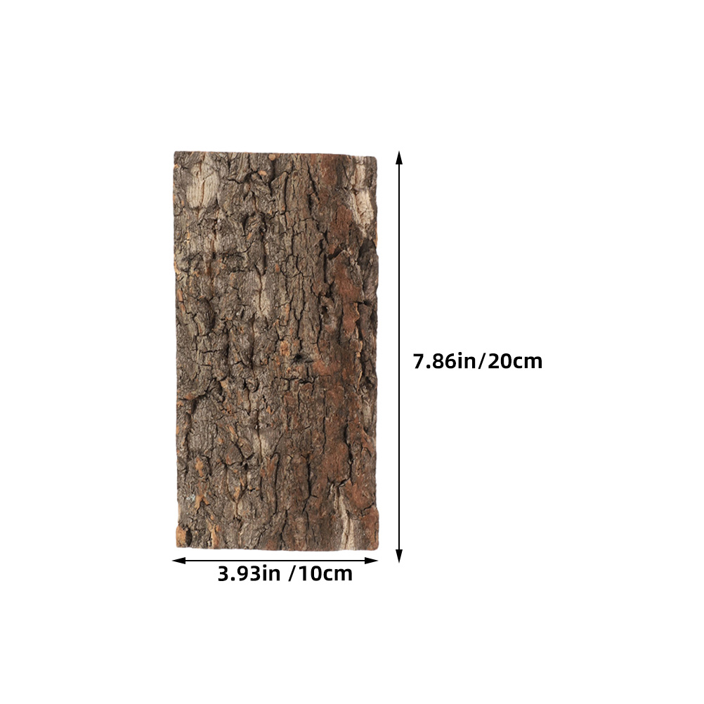 3pcs Cork Bark For Reptiles Te - Planted Aquarium Equipment ulasan dan harga